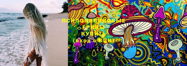 дурь Сафоново